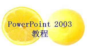 Powerpoint2003视频教程