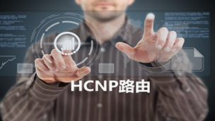 Hans 华为HCNP/HCDP中级系列视频课